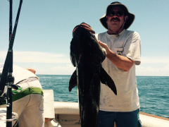 Ofishal Business Offshore Cobia
