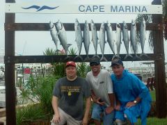 Ofishal Business King Mackerel and Bonitas