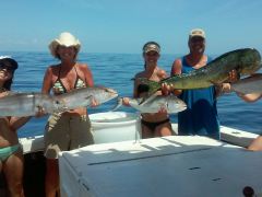 Ofishal Business Amber Jacks and a Nice Mahi