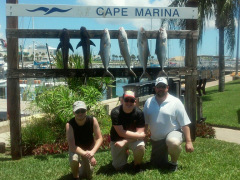 Ofishal Business Cobia and Amber Jack