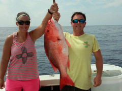 Ofishal Business American Red Snapper