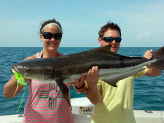 Ofishal Business Cape Canaveral Cobia Fishing