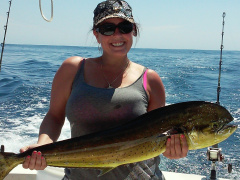 Ofishal Business gaffer dolphin fish