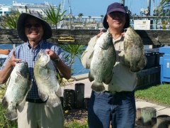 Ofishal Business Fishing Charters
