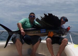 Ofishal Business Charters Sailfish