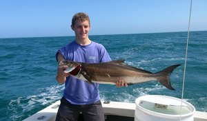 Ofishal Business Charters Nearshore Fishing Cobia